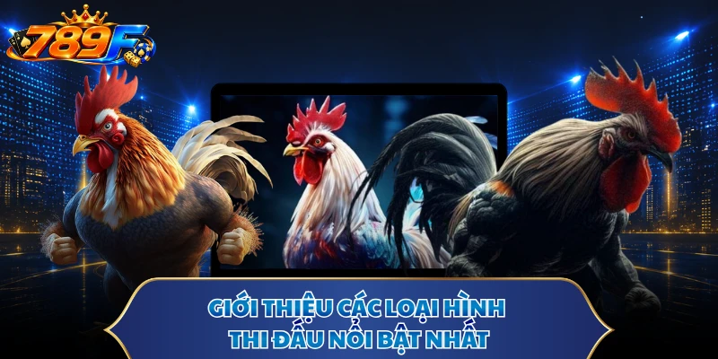 Giới thiệu các loại hình thi đấu nổi bật nhất