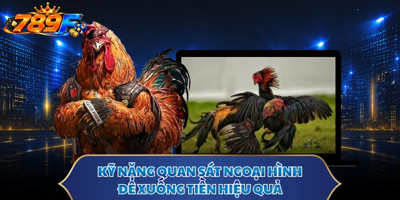Kỹ năng quan sát ngoại hình để xuống tiền hiệu quả