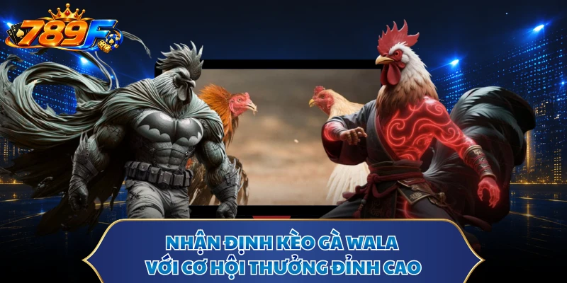 Nhận định kèo gà Wala với cơ hội thưởng đỉnh cao