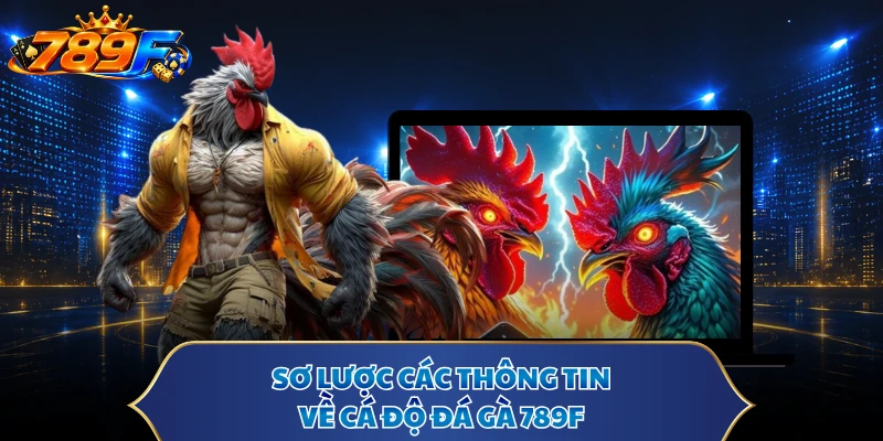 Sơ lược các thông tin về cá độ đá gà 789F